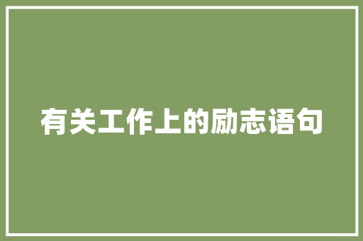 华为深圳SEO招聘,开启数字化营销新篇章
