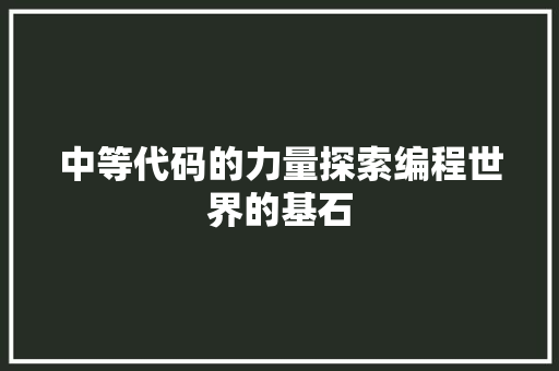 中等代码的力量探索编程世界的基石
