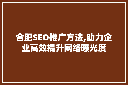 合肥SEO推广方法,助力企业高效提升网络曝光度