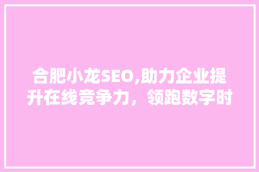 合肥小龙SEO,助力企业提升在线竞争力，领跑数字时代