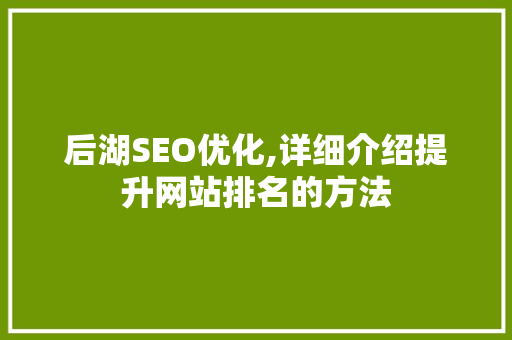后湖SEO优化,详细介绍提升网站排名的方法