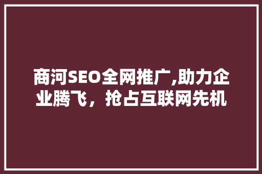 商河SEO全网推广,助力企业腾飞，抢占互联网先机