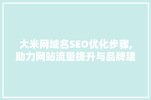 大米网域名SEO优化步骤,助力网站流量提升与品牌建设