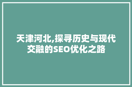 天津河北,探寻历史与现代交融的SEO优化之路