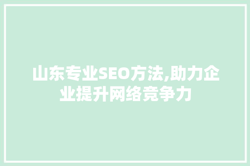 山东专业SEO方法,助力企业提升网络竞争力