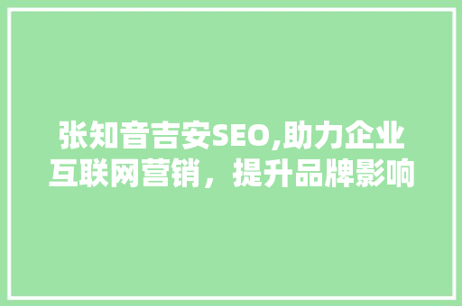 张知音吉安SEO,助力企业互联网营销，提升品牌影响力