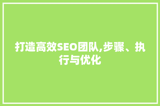 打造高效SEO团队,步骤、执行与优化