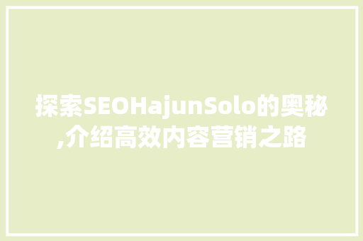 探索SEOHajunSolo的奥秘,介绍高效内容营销之路