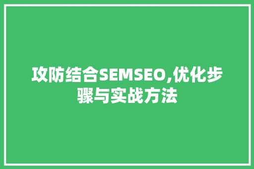 攻防结合SEMSEO,优化步骤与实战方法