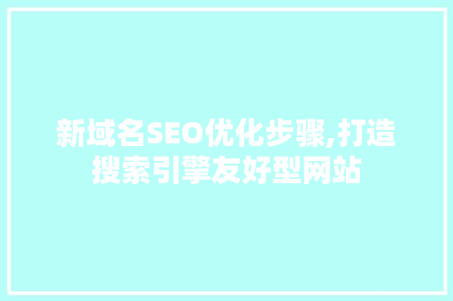 新域名SEO优化步骤,打造搜索引擎友好型网站