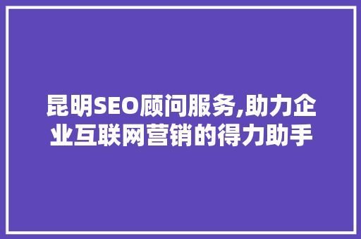 昆明SEO顾问服务,助力企业互联网营销的得力助手