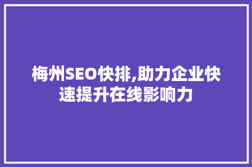 梅州SEO快排,助力企业快速提升在线影响力