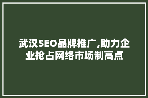 武汉SEO品牌推广,助力企业抢占网络市场制高点