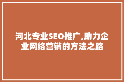 河北专业SEO推广,助力企业网络营销的方法之路