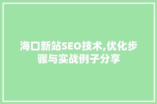 海口新站SEO技术,优化步骤与实战例子分享