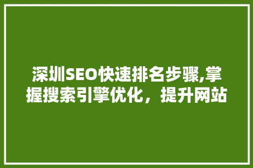 深圳SEO快速排名步骤,掌握搜索引擎优化，提升网站流量与品牌影响力