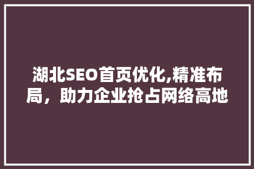 湖北SEO首页优化,精准布局，助力企业抢占网络高地