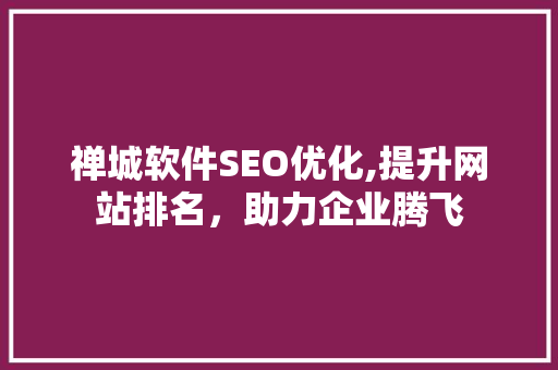 禅城软件SEO优化,提升网站排名，助力企业腾飞