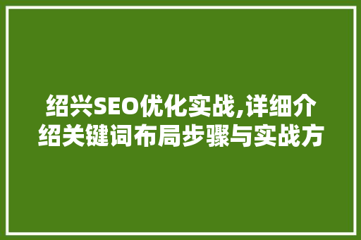 绍兴SEO优化实战,详细介绍关键词布局步骤与实战方法