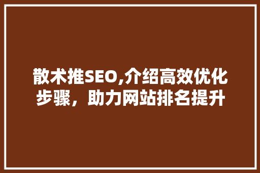 散术推SEO,介绍高效优化步骤，助力网站排名提升