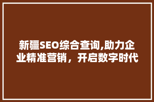 新疆SEO综合查询,助力企业精准营销，开启数字时代新篇章