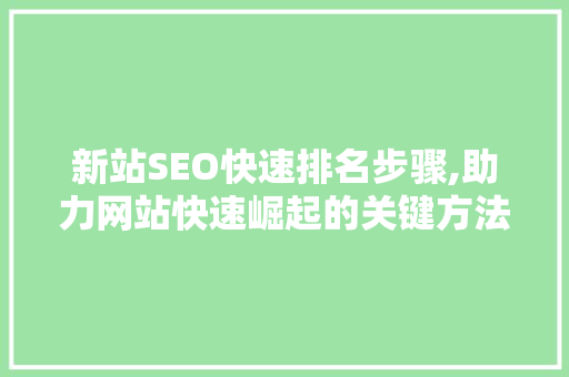 新站SEO快速排名步骤,助力网站快速崛起的关键方法