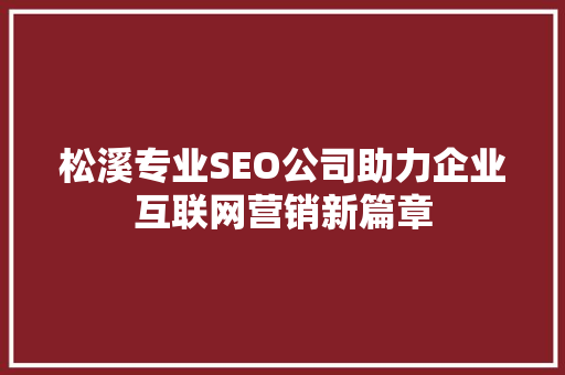 松溪专业SEO公司助力企业互联网营销新篇章