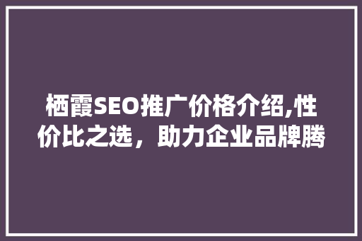 栖霞SEO推广价格介绍,性价比之选，助力企业品牌腾飞