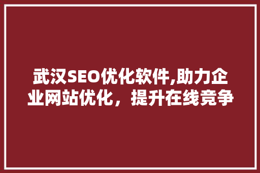 武汉SEO优化软件,助力企业网站优化，提升在线竞争力