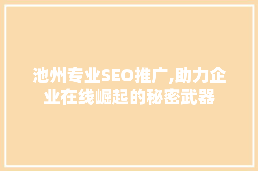 池州专业SEO推广,助力企业在线崛起的秘密武器