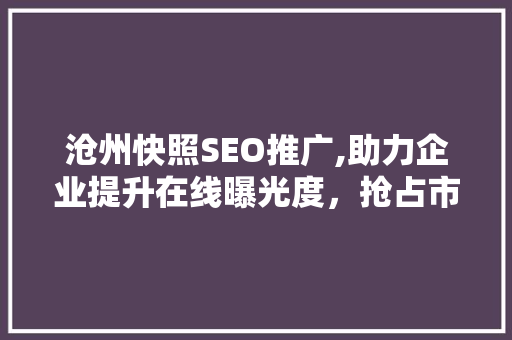 沧州快照SEO推广,助力企业提升在线曝光度，抢占市场先机