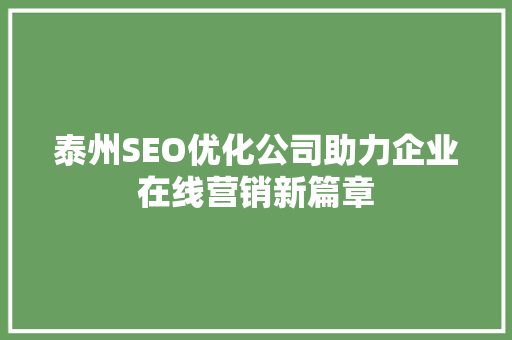泰州SEO优化公司助力企业在线营销新篇章