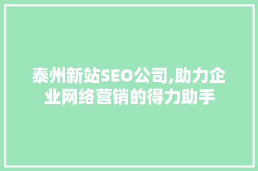 泰州新站SEO公司,助力企业网络营销的得力助手