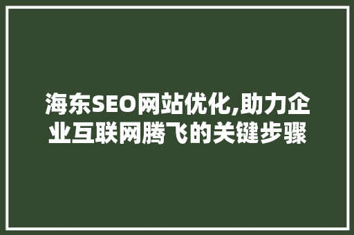 海东SEO网站优化,助力企业互联网腾飞的关键步骤