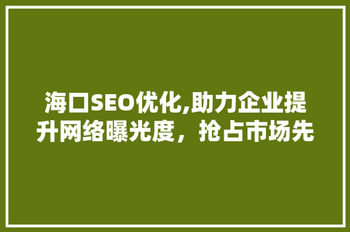 海口SEO优化,助力企业提升网络曝光度，抢占市场先机