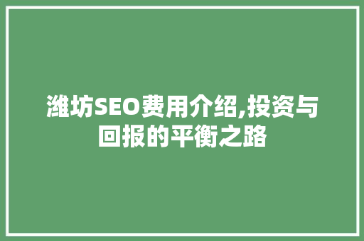 潍坊SEO费用介绍,投资与回报的平衡之路