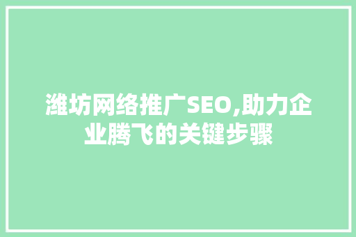 潍坊网络推广SEO,助力企业腾飞的关键步骤