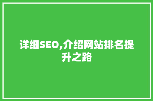 详细SEO,介绍网站排名提升之路