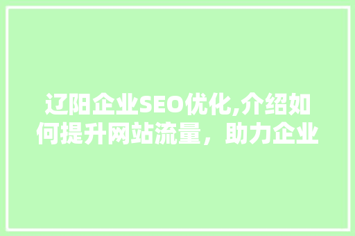 辽阳企业SEO优化,介绍如何提升网站流量，助力企业腾飞