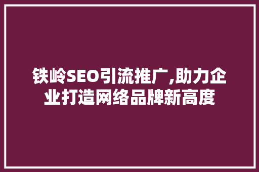 铁岭SEO引流推广,助力企业打造网络品牌新高度