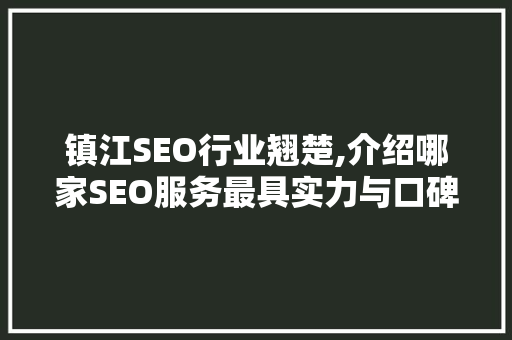 镇江SEO行业翘楚,介绍哪家SEO服务最具实力与口碑