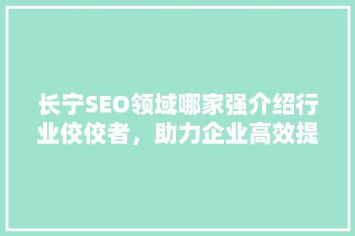 长宁SEO领域哪家强介绍行业佼佼者，助力企业高效提升在线影响力  第1张