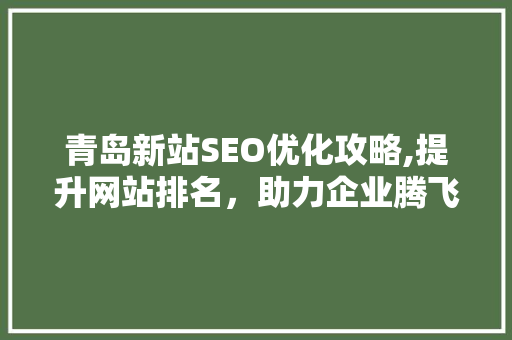 青岛新站SEO优化攻略,提升网站排名，助力企业腾飞