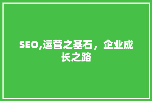 SEO,运营之基石，企业成长之路