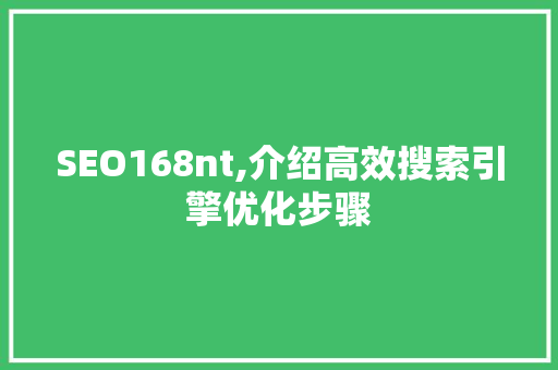 SEO168nt,介绍高效搜索引擎优化步骤