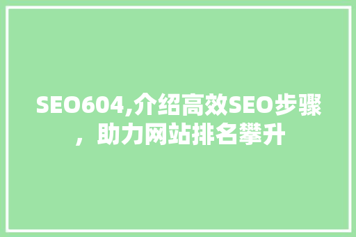 SEO604,介绍高效SEO步骤，助力网站排名攀升