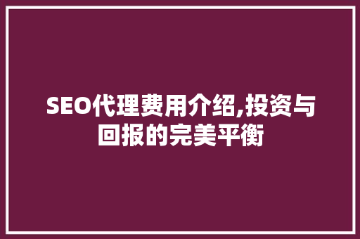 SEO代理费用介绍,投资与回报的完美平衡