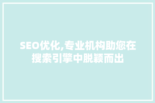 SEO优化,专业机构助您在搜索引擎中脱颖而出