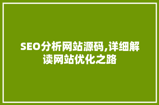 SEO分析网站源码,详细解读网站优化之路