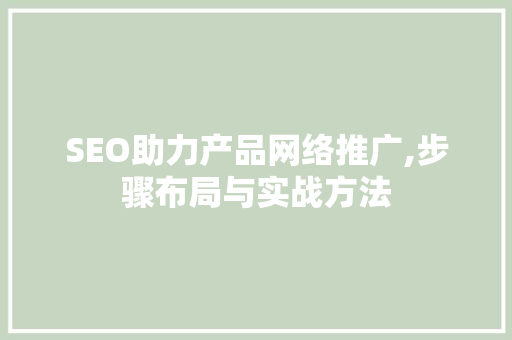 SEO助力产品网络推广,步骤布局与实战方法
